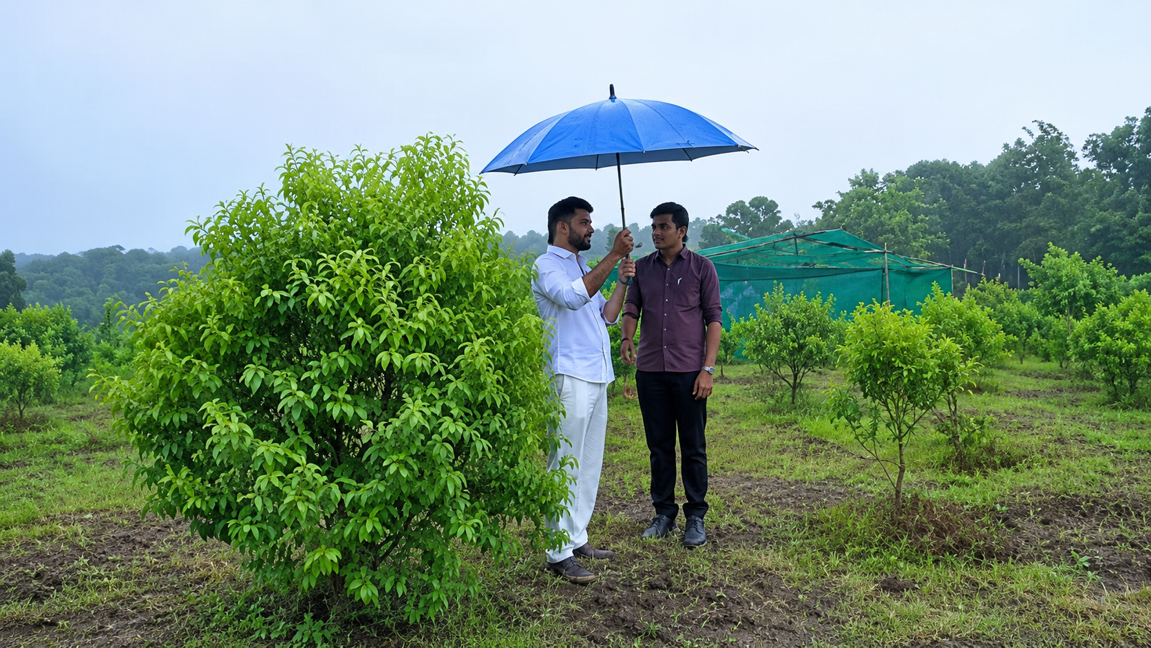 Integrated farm with poultry and vegetation